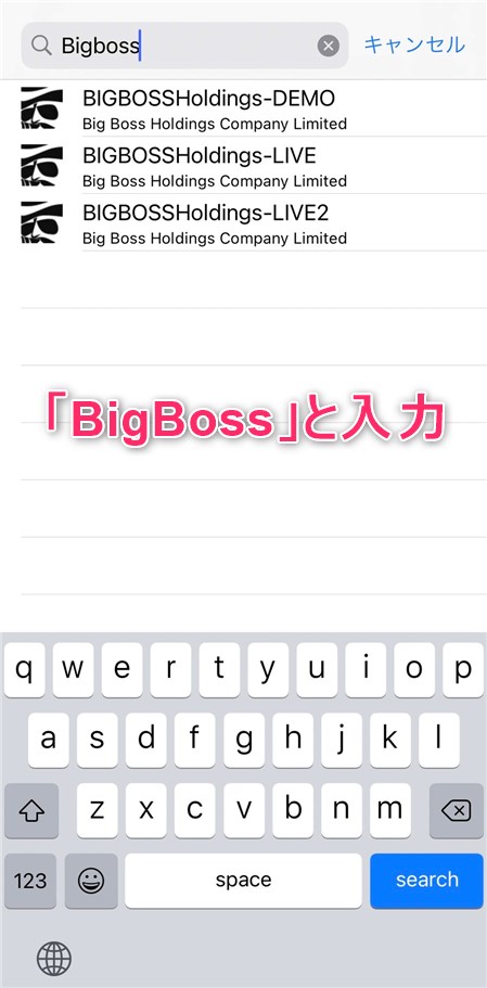 BigBoss 既存のアカウントにログイン