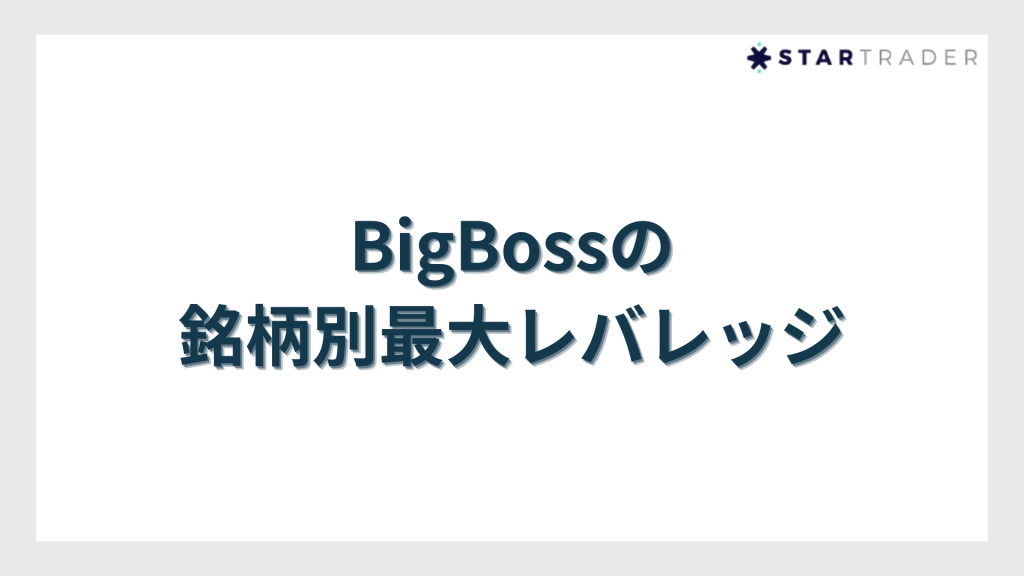BigBoss（ビッグボス）の銘柄別最大レバレッジ