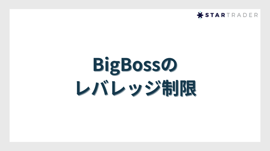 BigBoss（ビッグボス）のレバレッジ制限