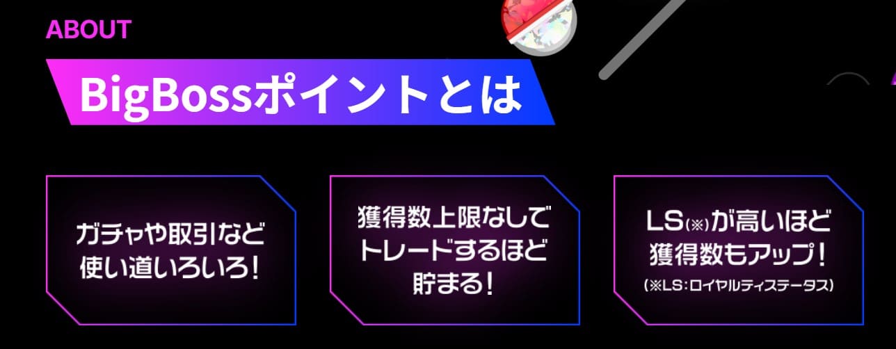 BIGBOSSポイント概要
