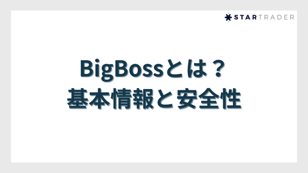BigBoss（ビッグボス）とは？基本情報と安全性