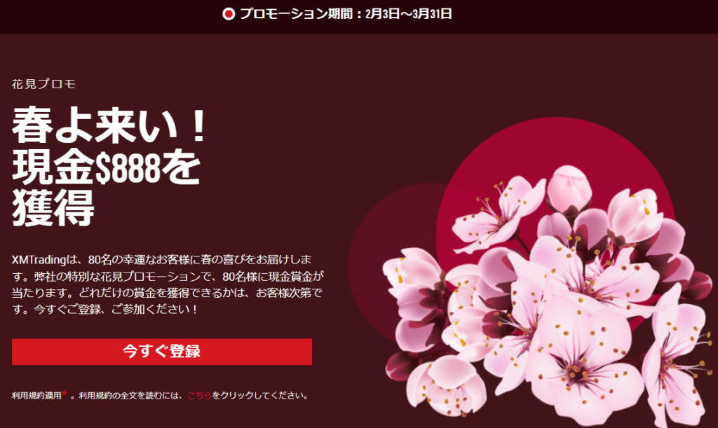 XM Tradingのお花見プロモ
