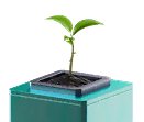 Agriculture Trading Icon
