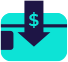 Bonus Credited Directly Ico